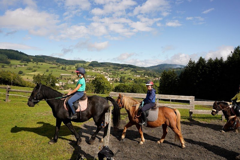 LA FERME EQUESTRE DU ROUSSET - photo 2