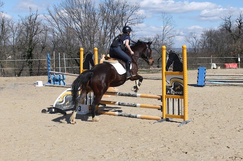 CENTRE ÉQUESTRE LE CHEVAL MUSICAL - photo 3