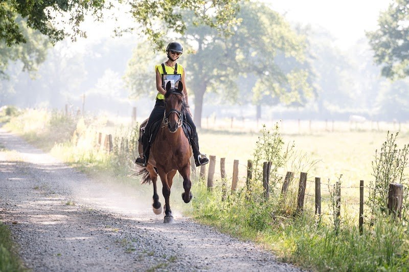 Centre Equestre Régional du Forez (ASEM CERF)