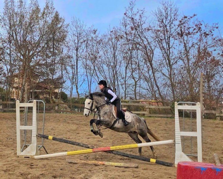 Centre Equestre Régional du Forez (ASEM CERF) - photo 2