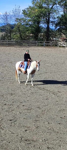 Les Ecuries Nature Western - photo 1