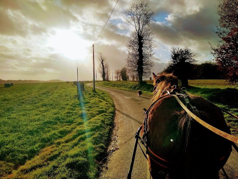 Ecurie de l'Etrat - photo 2