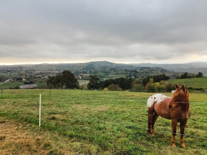 Ecurie Chantereine - photo 2