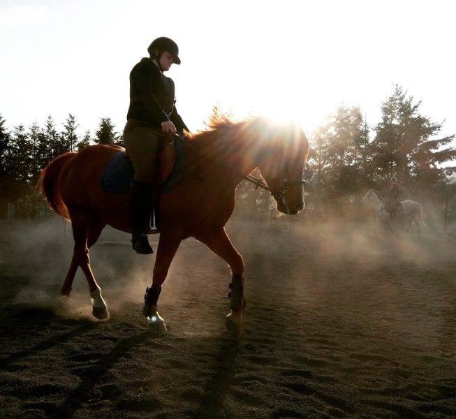 Ecurie Chantereine - photo 3