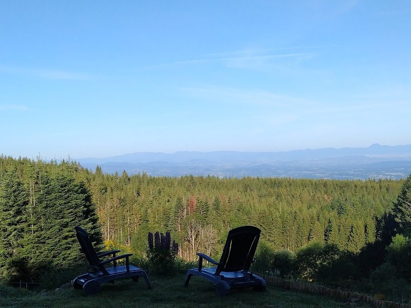 Les Paddocks - Centre équestre & chambres d'hôtes - photo 2