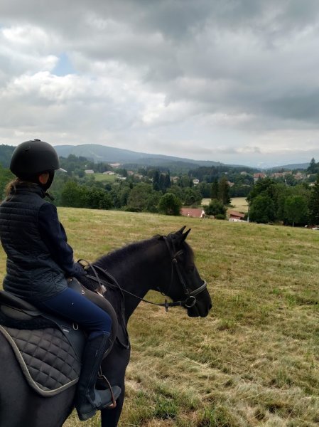 Les Paddocks - Centre équestre & chambres d'hôtes - photo 3