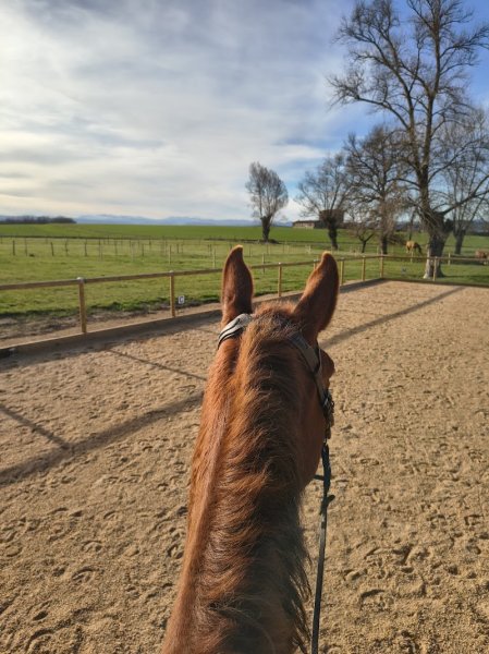 Écurie des Orgues - photo 2