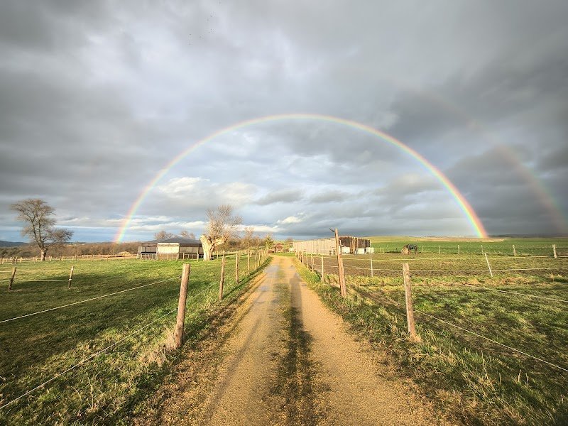 Écurie des Orgues - photo 3
