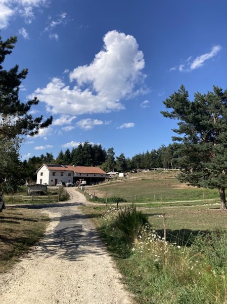 Forez à cheval - photo 3