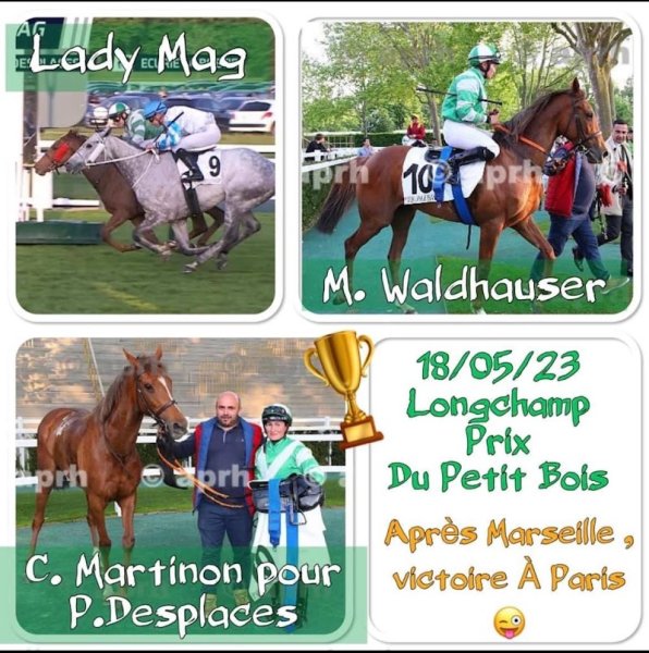 Haras dralliv - photo 2