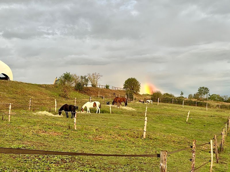 « L’Authentique » Domaine Équestre