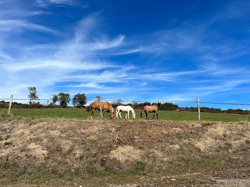 « L’Authentique » Domaine Équestre - photo 3