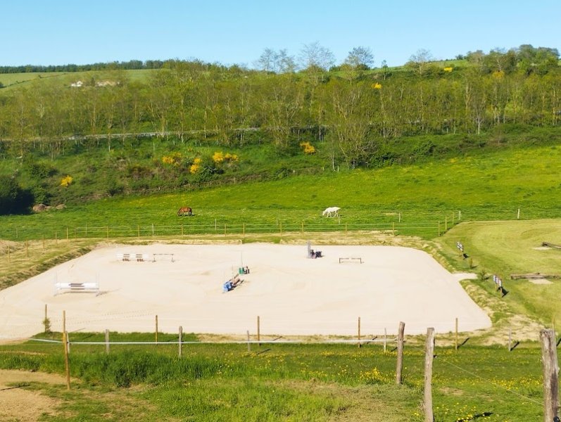 Ecurie Benoît Guillaume - Centre de médiation équine