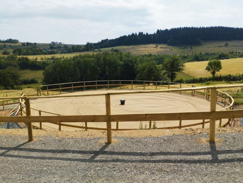 Ecurie Benoît Guillaume - Centre de médiation équine - photo 2