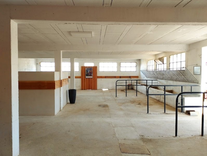 Ecurie Benoît Guillaume - Centre de médiation équine - photo 3