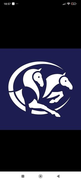 ECURIE Q & J - photo 3