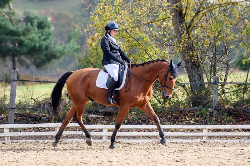 Club Hippique Saint Just - photo 2