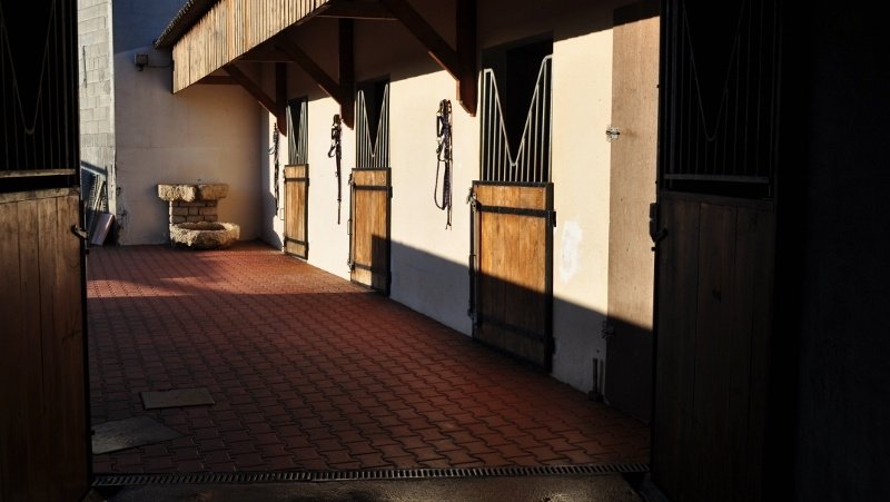 LES CHEVAUX DU RAJAL - photo 1