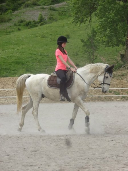 LES CHEVAUX DU RAJAL - photo 2