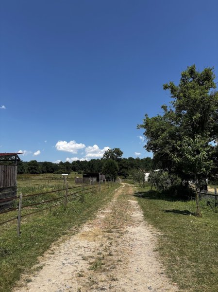 Domaine Équestre De Boise - photo 2