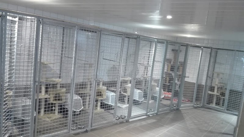 Pension féline Maloan - photo 3