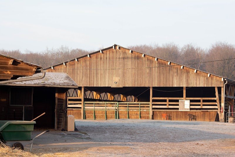 Centre Equestre, pension de chevaux de Villers Cotterets - photo 2
