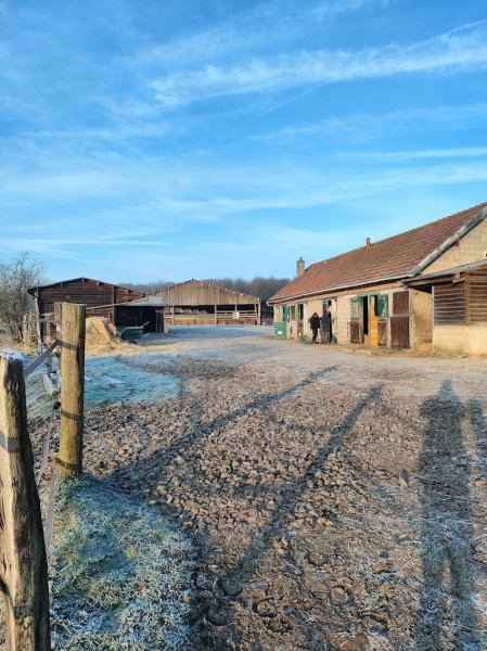Centre Equestre, pension de chevaux de Villers Cotterets - photo 3