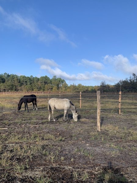 Les écuries du Val de l'Eyre - photo 1