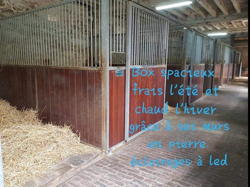 Écurie Saint Georges Ivors - photo 2