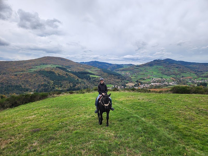 Ferme Equestre de la Roche Fendue - photo 2