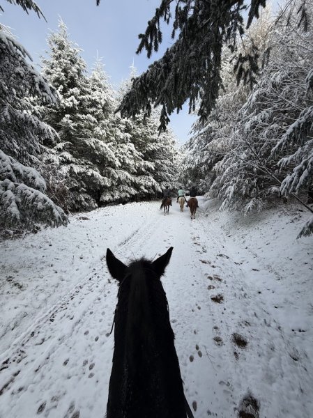 Ferme Equestre de la Roche Fendue - photo 3