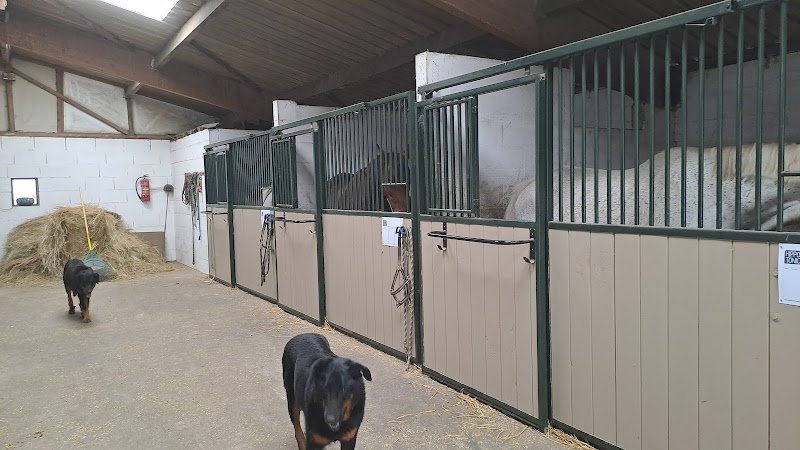 les Ecuries de la Tuiliere - photo 2