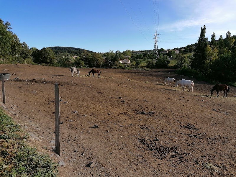 LES ECURIES ANICIENNES - photo 1