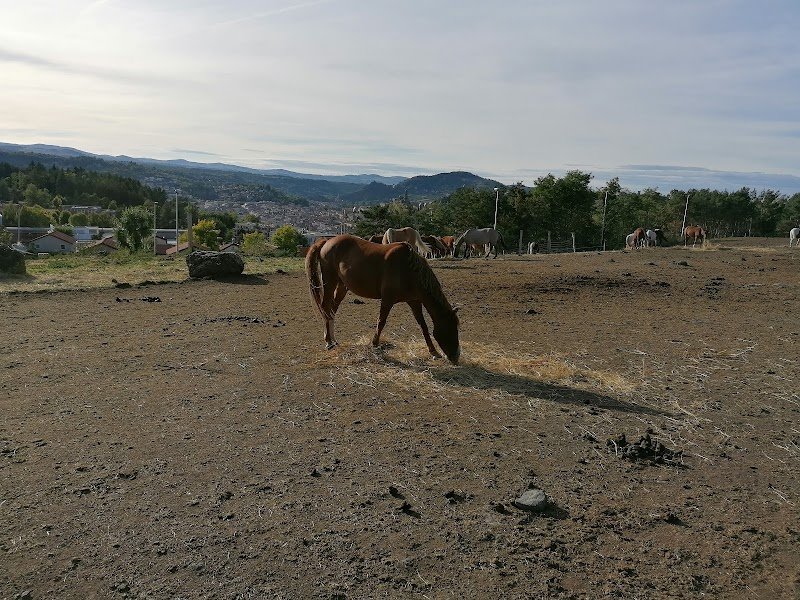 LES ECURIES ANICIENNES - photo 2