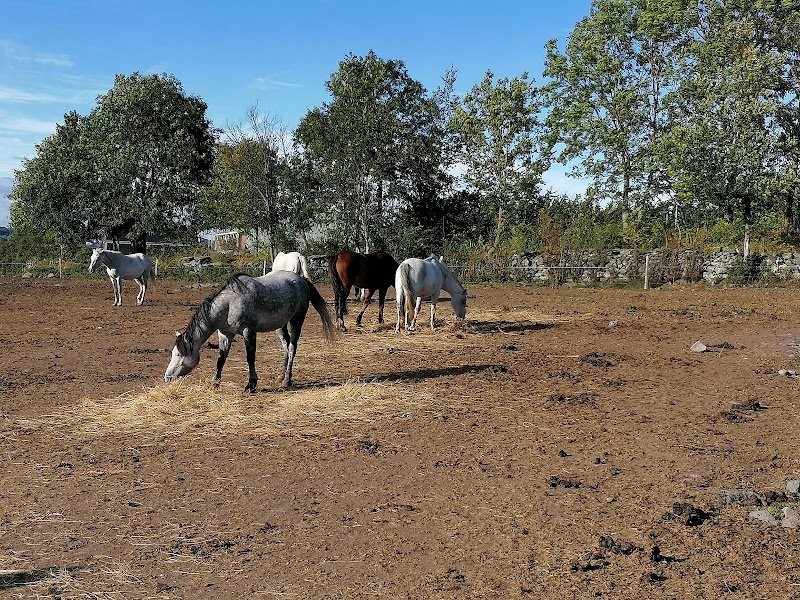 LES ECURIES ANICIENNES - photo 3