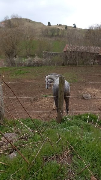 Les Ecuries de Bélénos - photo 2