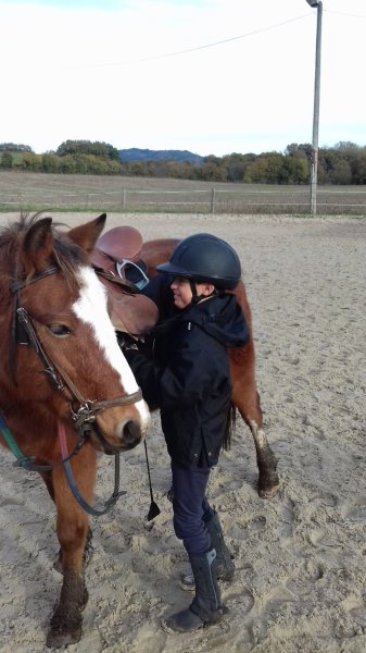 Centre Équestre de Brioude-Bonnefont - photo 2