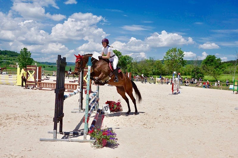 Cepc les petits chevaux - photo 1
