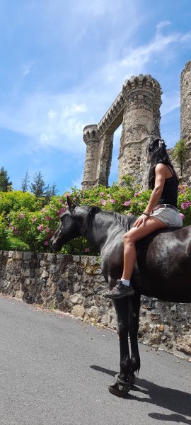 La voix du cheval - photo 1