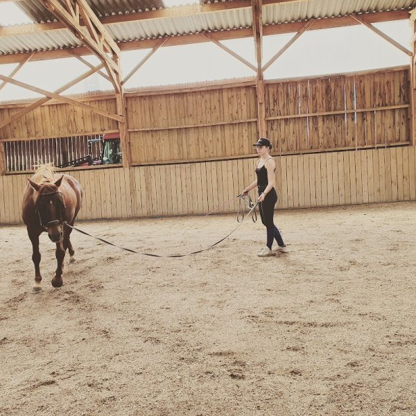 Ecuries Giraud Alain et Amélie - photo 2