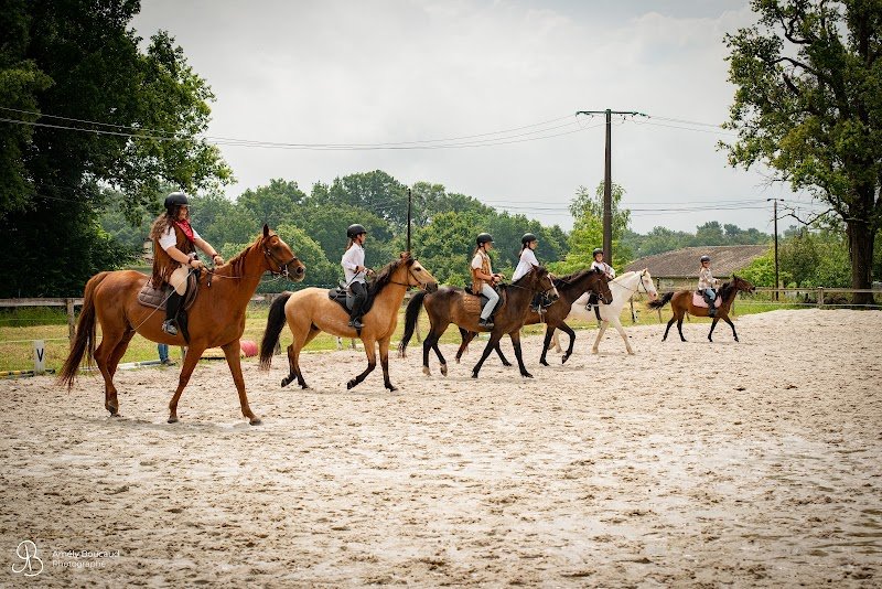 Les écuries de Vanda - photo 2