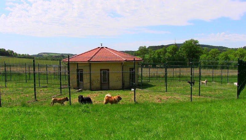 Pension du Menhir - photo 1