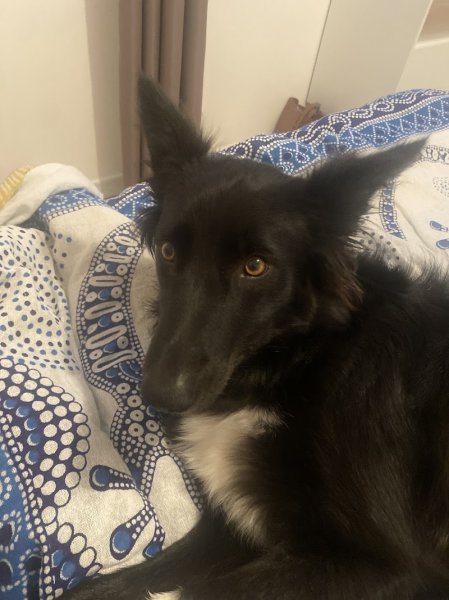 Pension du Menhir - photo 3