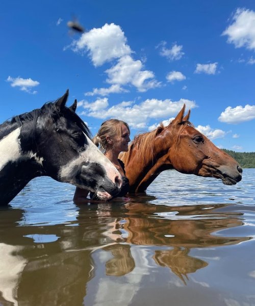 Les chevaux des Sperios - photo 3