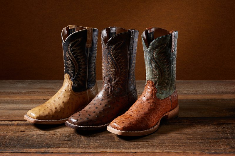 horse liberty - photo 3