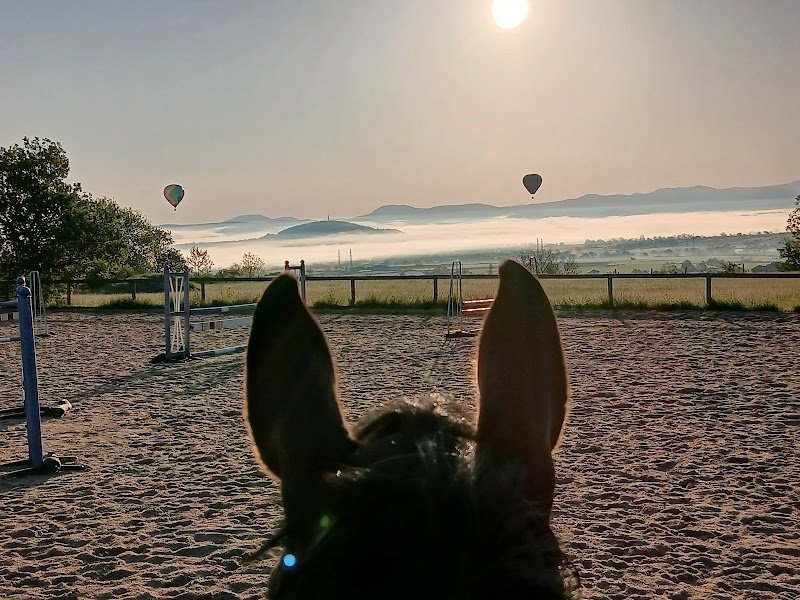 ÉCURIE FERRER DEVEZE - photo 1