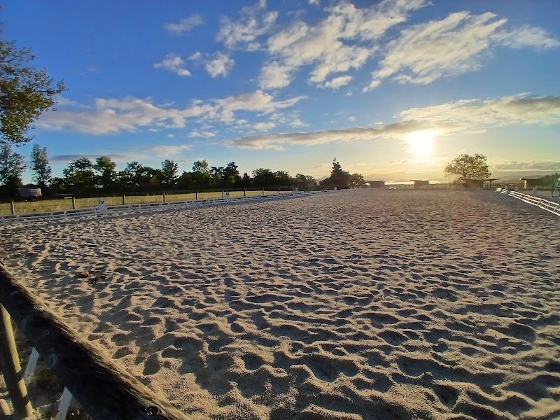 ÉCURIE FERRER DEVEZE - photo 2