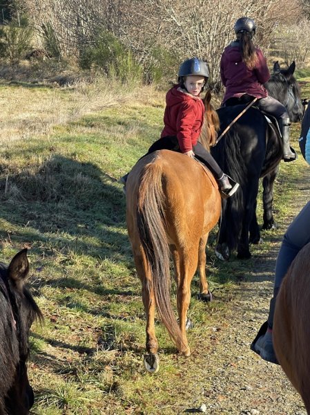 Les Chevaux de Capucine - photo 1