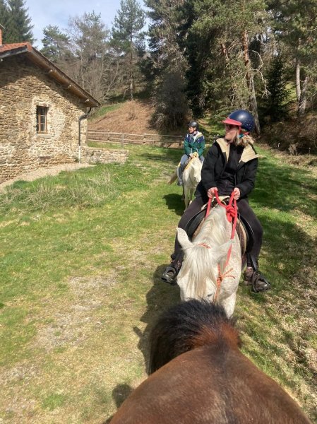 Les Chevaux de Capucine - photo 2
