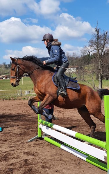 Ecuries de Gourmessaume